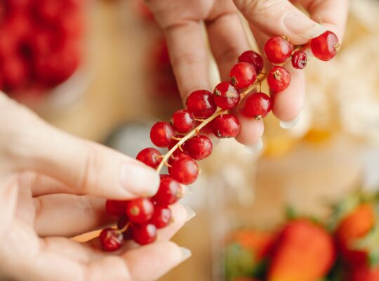 Préparez les fruits